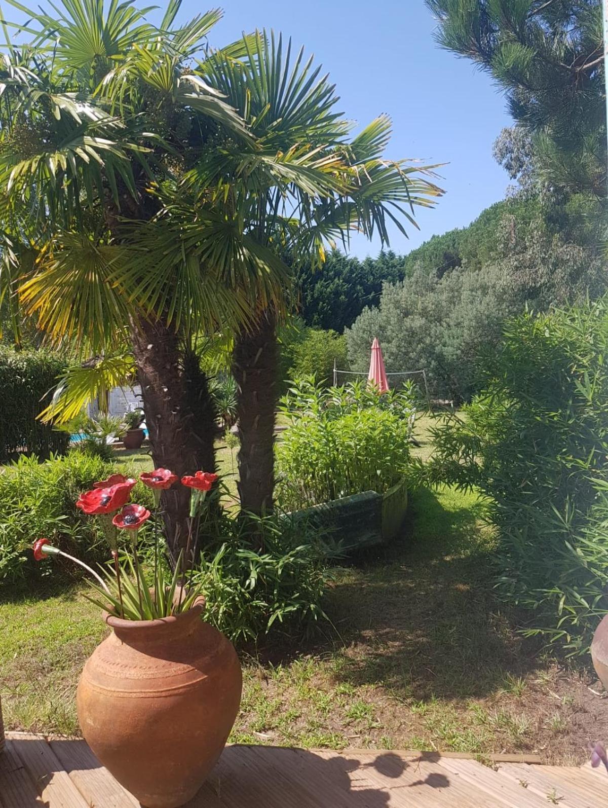 Le Mas Des Landes Vielle-Saint-Girons Dış mekan fotoğraf